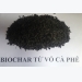 Than sinh học và phân bón thế hệ mới Biffa Biochar