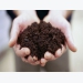 10 Easy Soil Tests That Pinpoint Your Garden's Problems