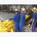 Vietnamese rice exports hit three-year high