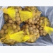 Hanoi’s late-ripening longan exported to Australia