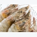 Fish-oil-free shrimp diets may benefit from DHA additive inclusion