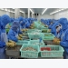 Vietnam's shrimp exports in the first six months up 5.7%