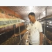 Trồng nấm rơm sạch mỗi tháng lãi hàng chục triệu đồng tại Thái Nguyên