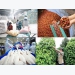 Make use of each market for export of agricultural products