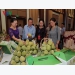 Son La province promotes safe farm produce export practice