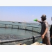 Việt Nam begins to realise marine aquaculture potential