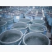 Investor urges aquaculture to align with the 'food revolution'