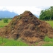 Researchers to transform anaerobic digestion