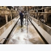 US dairy sector concentrates to lower feed, production costs, expand exports