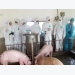 Cách nuôi lợn an toàn sinh học mùa dịch