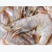 The case against eyestalk ablation in shrimp aquaculture