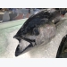 Vietnam’s tuna exports to EU skyrocket thanks to free trade agreement