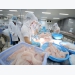 Pangasius exports to Singapore are positive