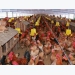 Vision to 2030 and certain aims of poultry husbandry sector