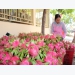 Dragon fruit importers encouraged to stay current on border trade situation