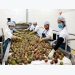 EU-qualified passion fruits: Bumper crop, good prices
