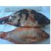 Genetic improvement aids red tilapia growth in Egypt
