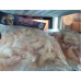 Argentina’s cut to Patagonian export subsidies upsets shrimp exporters, supports prices
