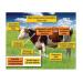 Live yeast helps manage heat stress in dairy cows