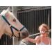 Keep Your Horses Hydrated and Their Waterer Clean