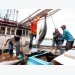 Vietnam tuna exports exceed yearly target