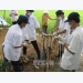 An Giang ensures quality of cattle, poultry products