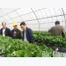 Hiep Hoa district boosts experience exchange with Gifu prefecture in high-tech agricultural