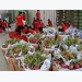Localities loosen management and businesses cheat, Vietnamese agricultural products