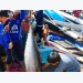 Exports of Vietnamese tuna after a half month after EVFTA