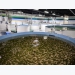 Top tips for setting up a recirculating aquaculture system (RAS) - Part 2