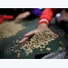 Vietnam coffee market subdued ahead of main harvest in upcoming weeks