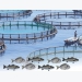 A Guide to Acceptable Procedures Practices for Aquaculture Fisheries Research - Part 1