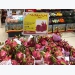 Japan market share of dragon fruit needs to be maintained