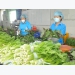 Prices of vegetables, fresh foods escalate