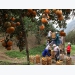 Ha Giang orange is smoothly consumed and sold at good price