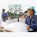 The qualitative transformation of Vietnam’s rice