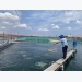 Ninh Thuận quy hoạch 2 vùng sản xuất giống thủy sản công nghệ cao