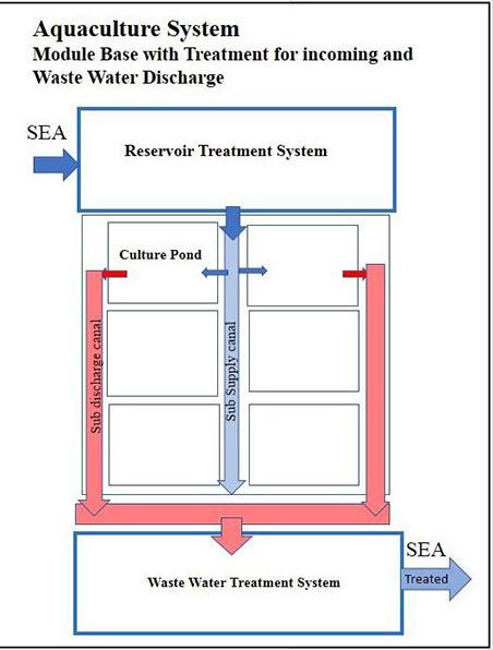 A look at various intensive shrimp farming systems in Asia