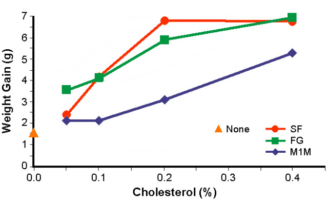 Cholesterol